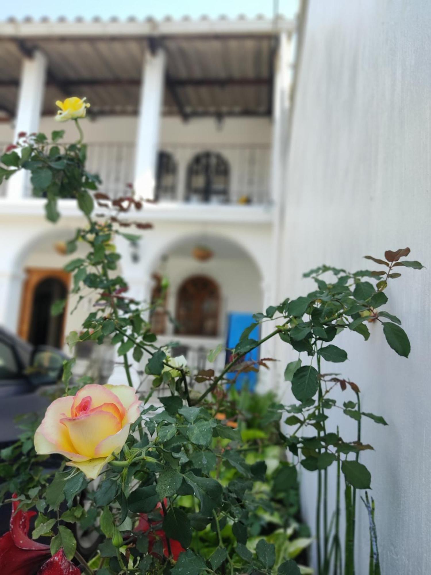 Blue Moon Hostel Antigua Exterior photo